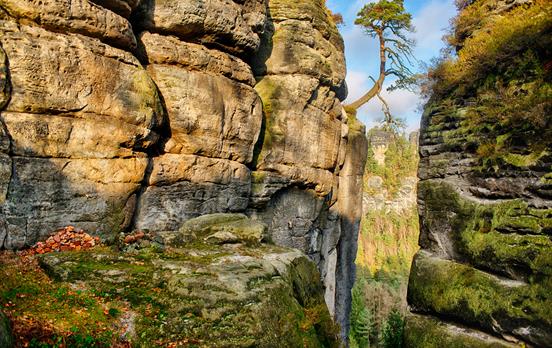 Traumhafte Aussichten in der Sächsischen Schweiz