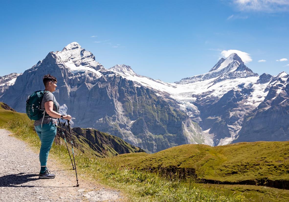 Bernese Oberland Walker