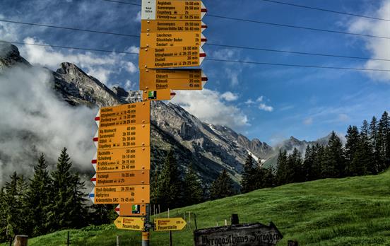 Sign posts