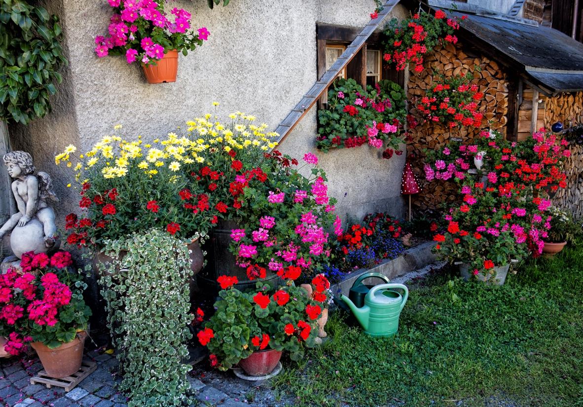 Flower filled gardens