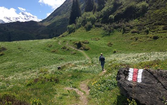 Walking on the trail above Murren
