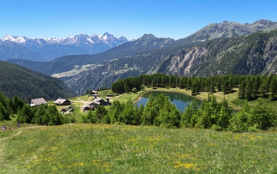 © Valle d&apos;Aosta-Lago di Lod Chamois