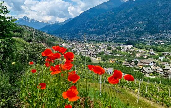 Auf dem Weg nach Aymaville