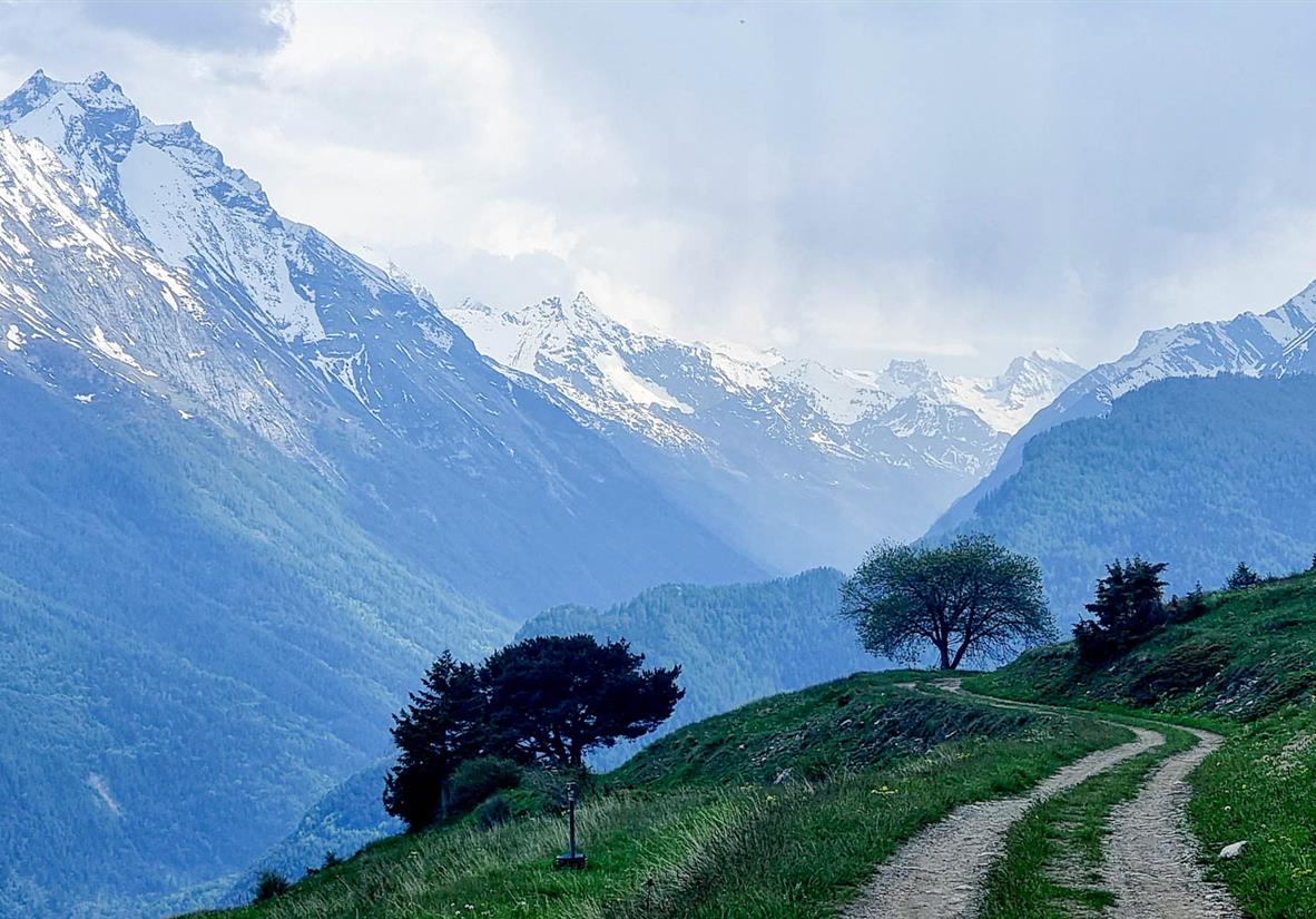 Höhenweg nach Vens