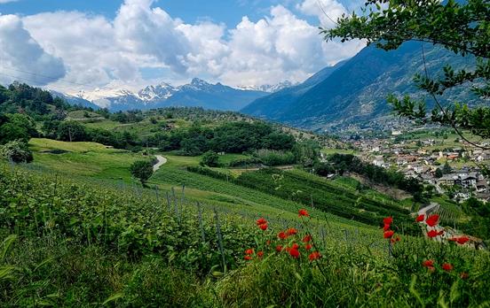 Auf dem Weg nach Aymaville