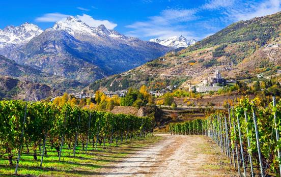 Aosta Valley vineyards