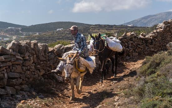 Einheimischer mit Esel