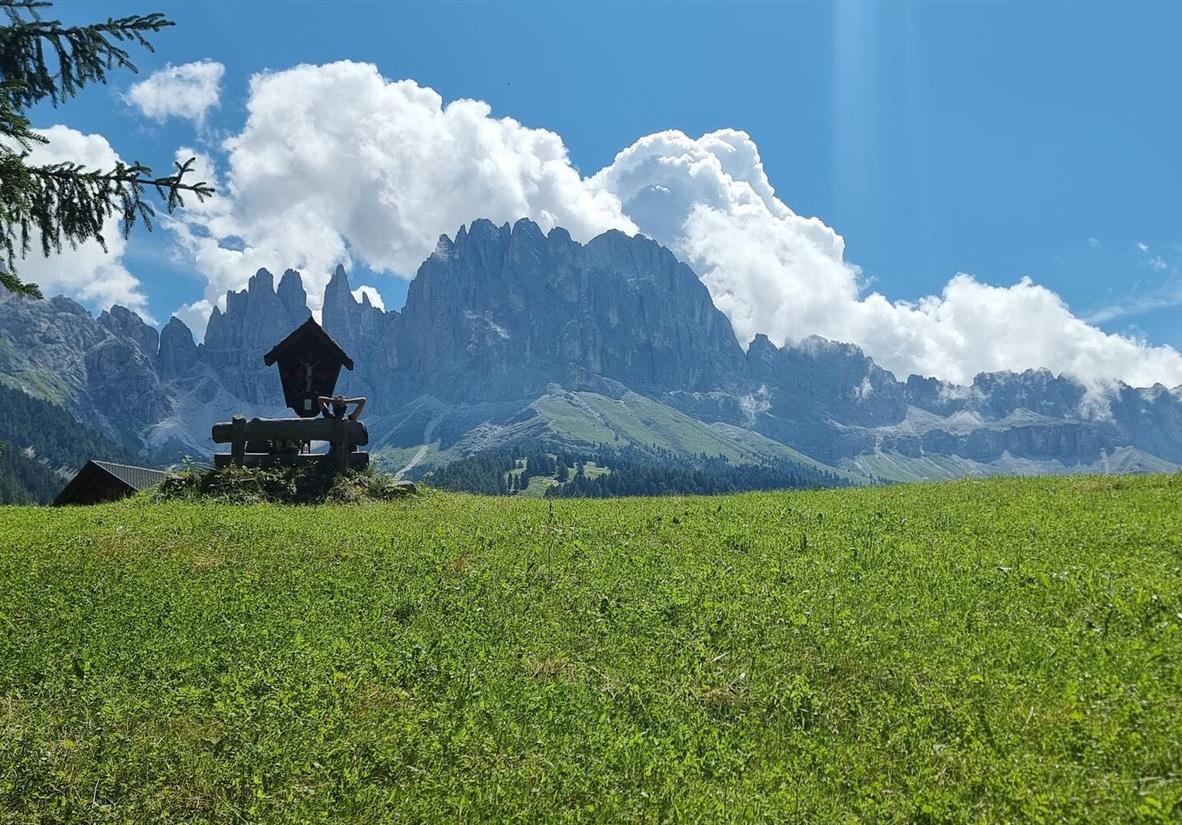 Entspannen mit Ausblick auf den Rosengarten