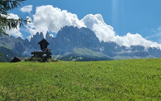 Entspannen mit Ausblick auf den Rosengarten