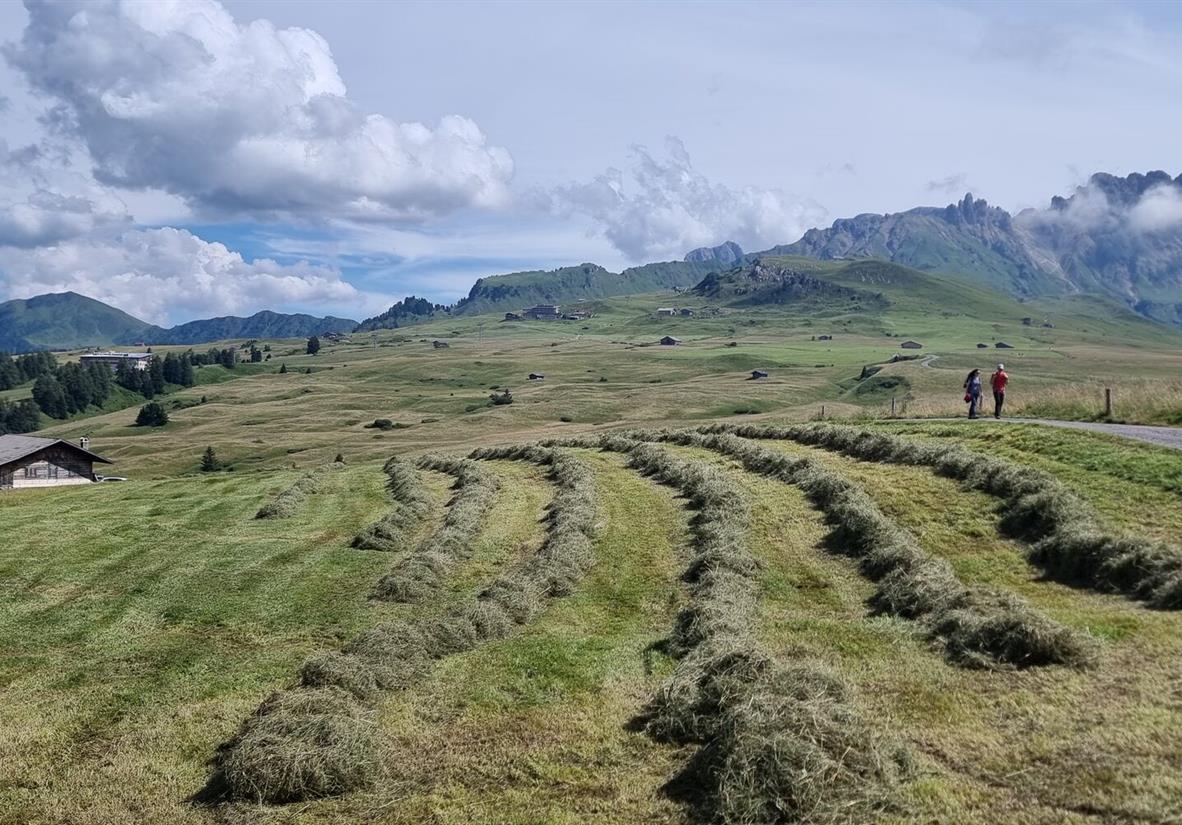 Wanderer Seiser Alm