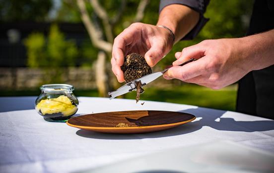 Trüffel Copyright www.visitkroatien.de