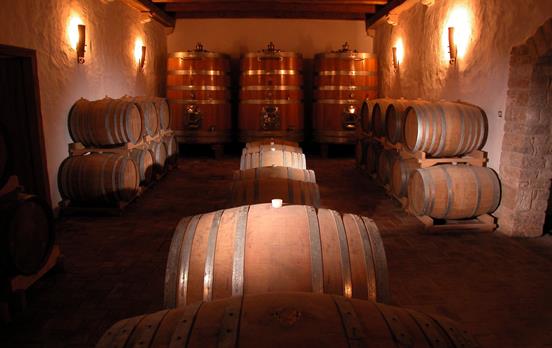 Weinkeller Copyright by Dani Celija