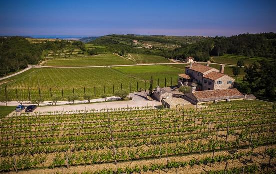 Weinstrasse Copyright www.visitkroatien.de