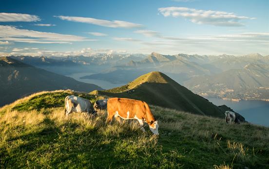 Naturidyll hoch oben über dem Comer See