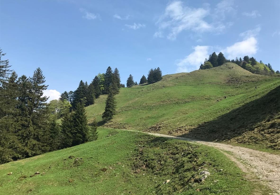 Easy Trails above Weggis