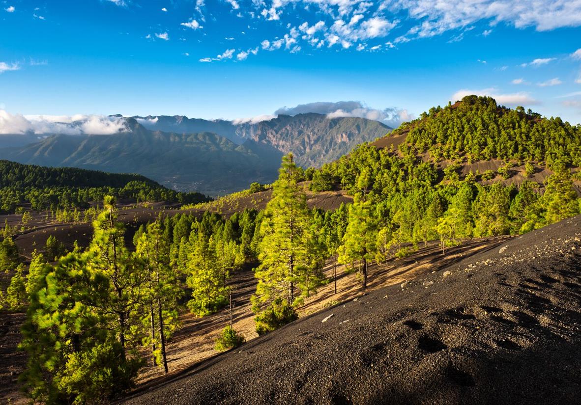 Volcanic landscapes of La Palma