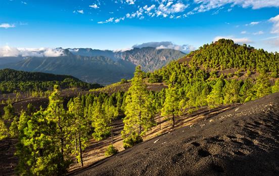 Volcanic landscapes of La Palma