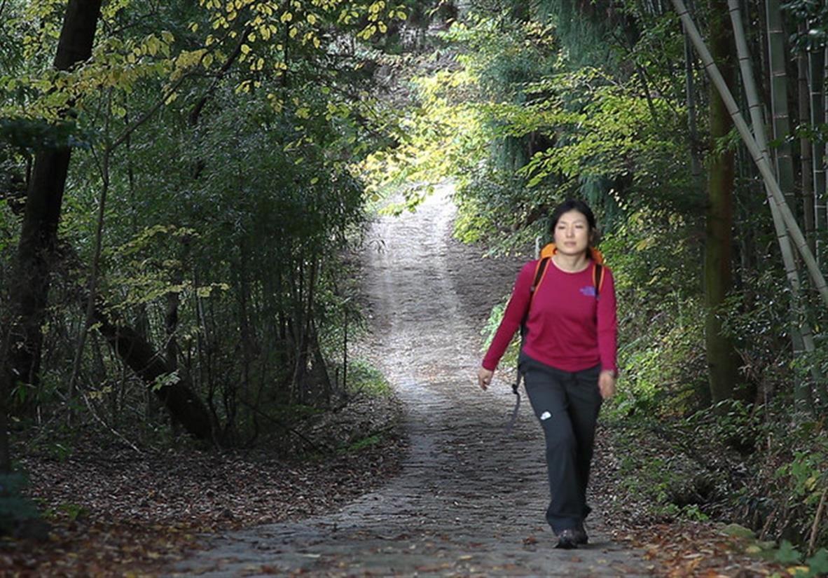 Wandererin auf dem Nakasendo