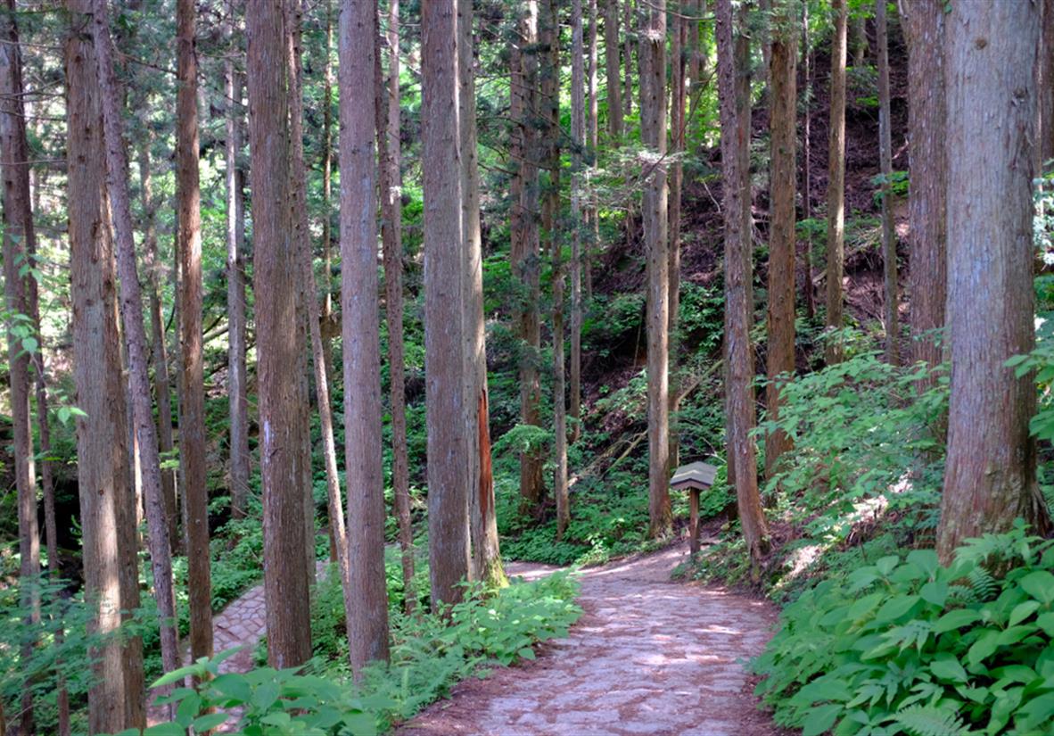 Nakasendo Weg