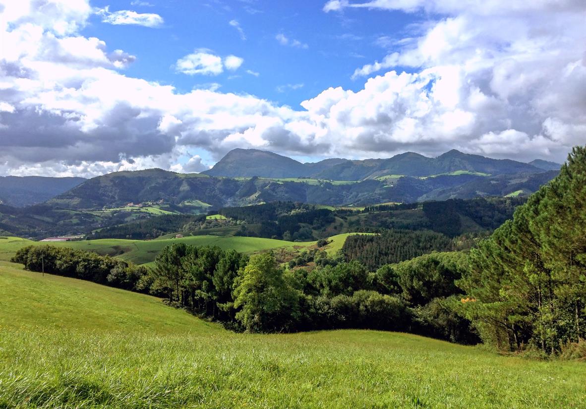 Die Picos de Europa im Blick