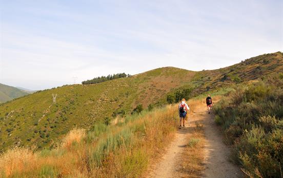 Pilger auf dem Camino