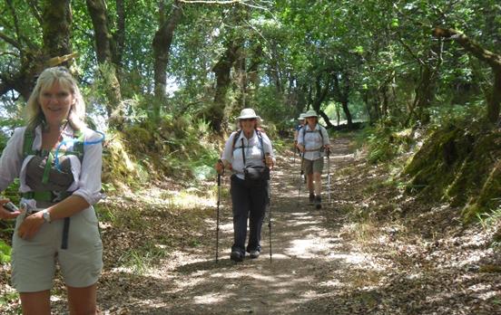 Pilgern auf dem Primitivo