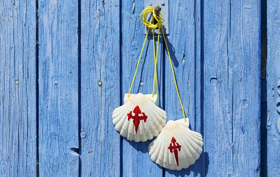 Jakobsmuscheln - Zeichen der Pilger