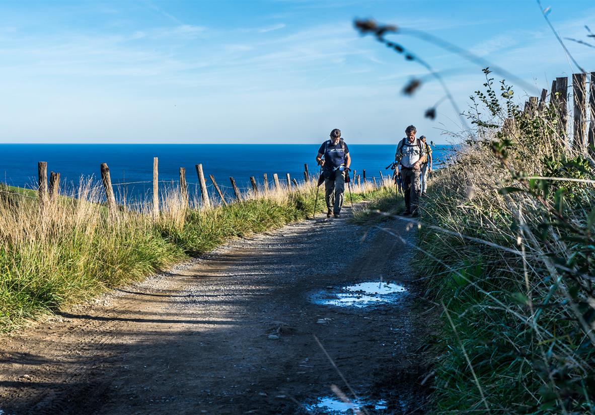 Walking through coastal paths of the early stages