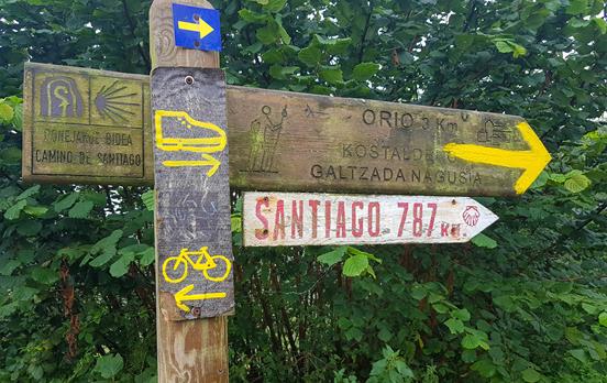 Classic Camino signage keeping you on track