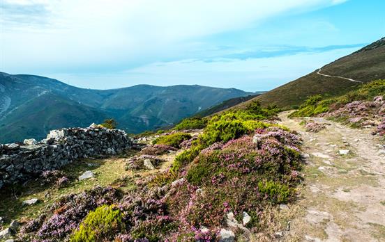 Mountain section on the Camino Primitivo