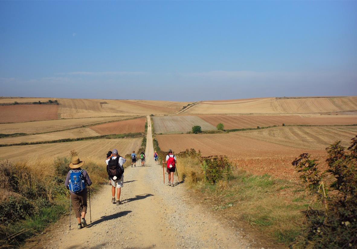 Join many pilgrims making their way to Santiago