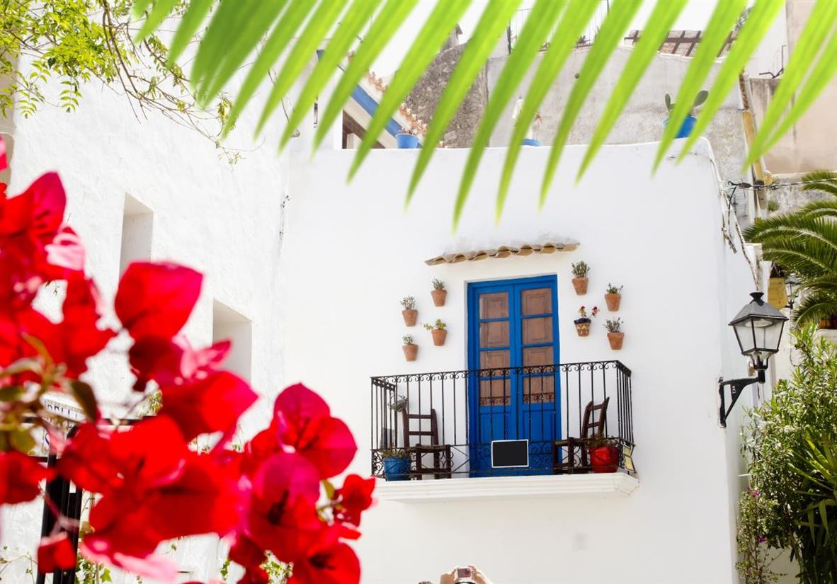 Bougainvilleas and a traditional Ibizan house