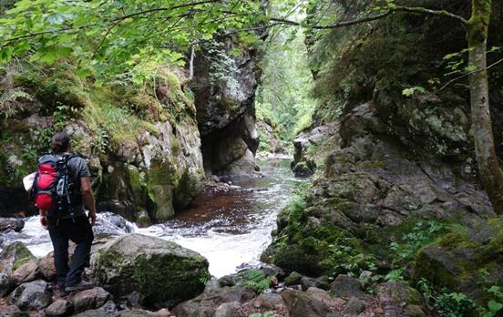 Unterwegs in der Wutachschlucht