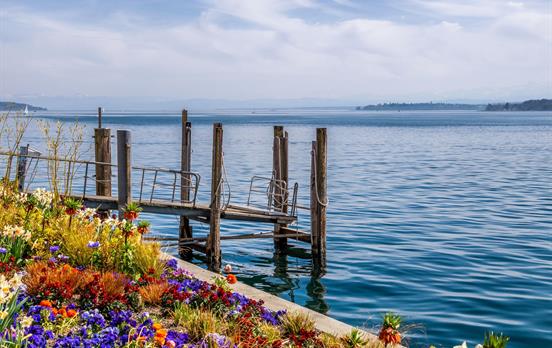 BodenseeIdylle im Frühling