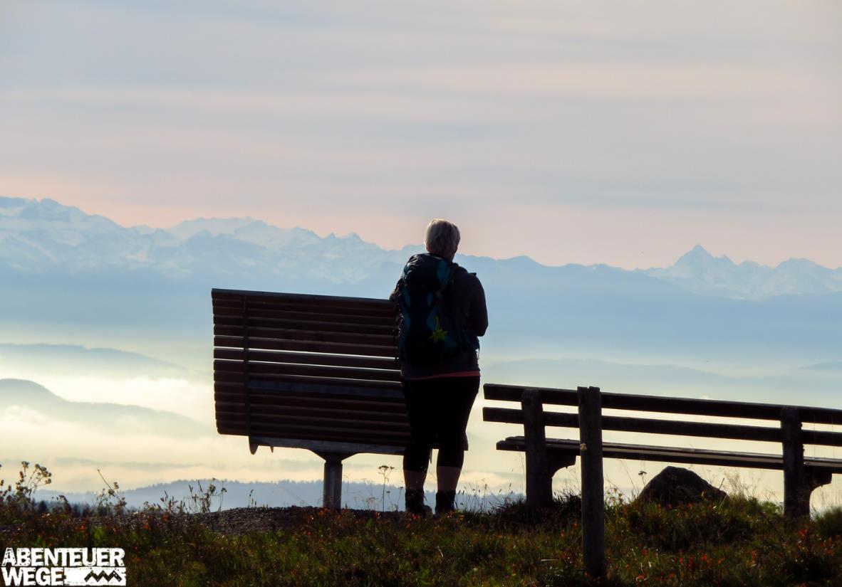 Schwarzwälder Panoramablicke