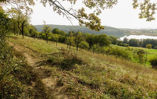 Mindelsee auf dem Weg nach Langenrain