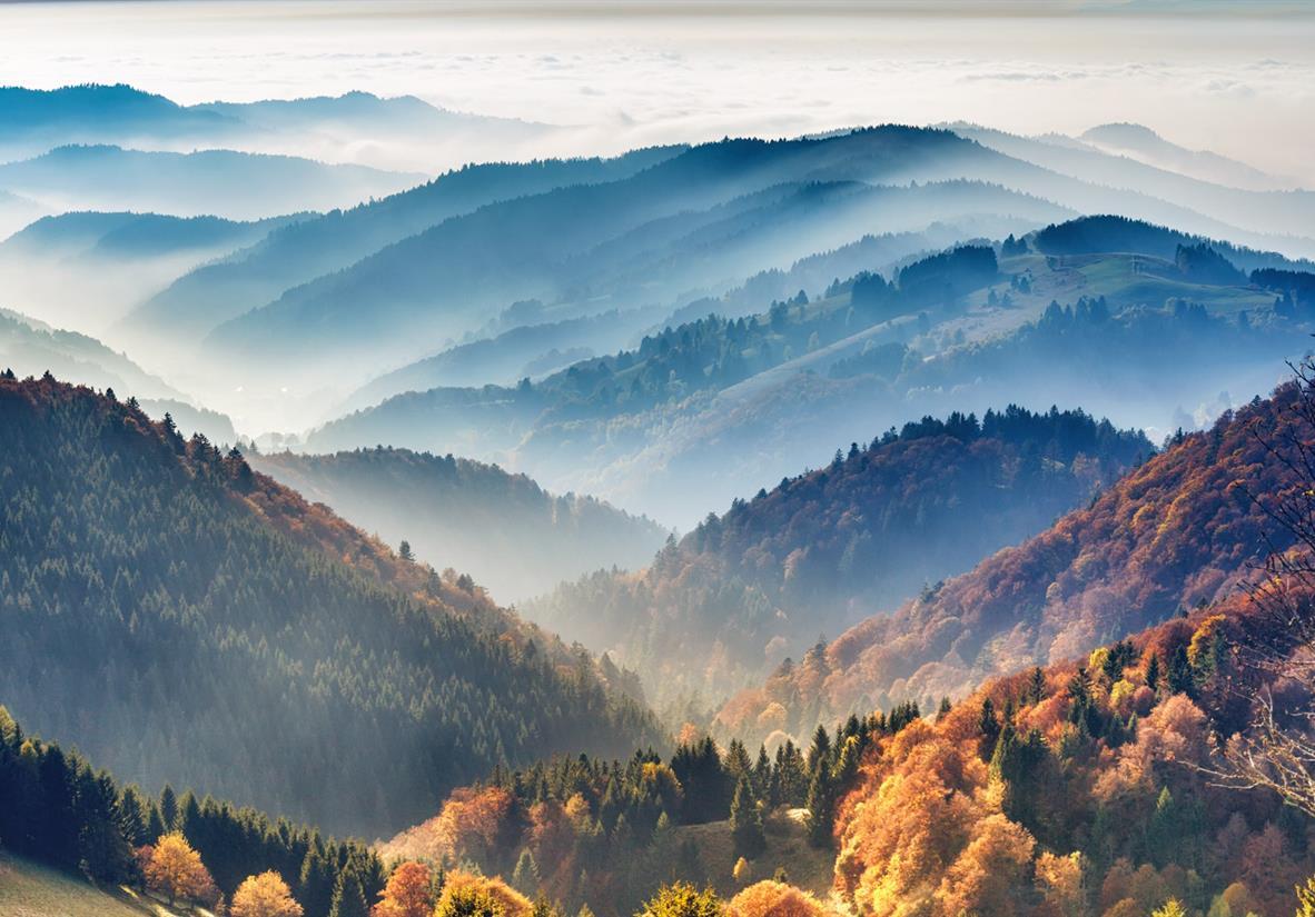 Morgennebel über dem Schwarzwald