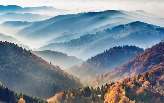 Morgennebel über dem Schwarzwald