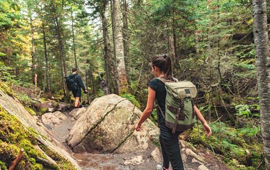 Auf schmalen Pfaden unterwegs