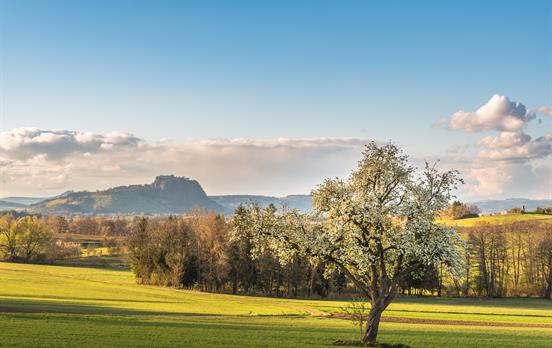 Die Vulkanlandschaft des Hegaus