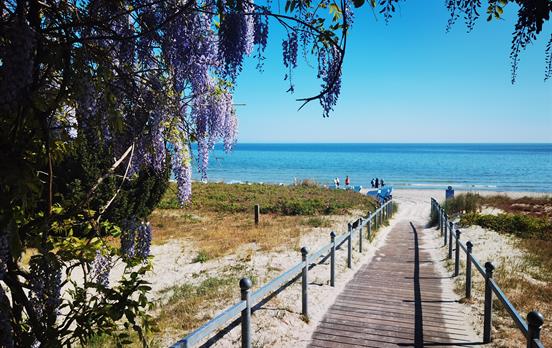 Weißer Sandstrand in Binz