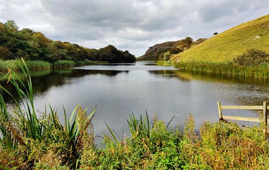 Serene Mire Loch