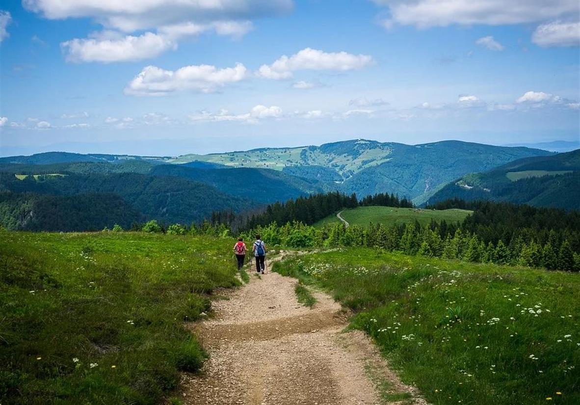 Aussichtsreiche Pfade im Hochschwarzwald