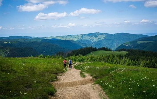 Aussichtsreiche Pfade im Hochschwarzwald