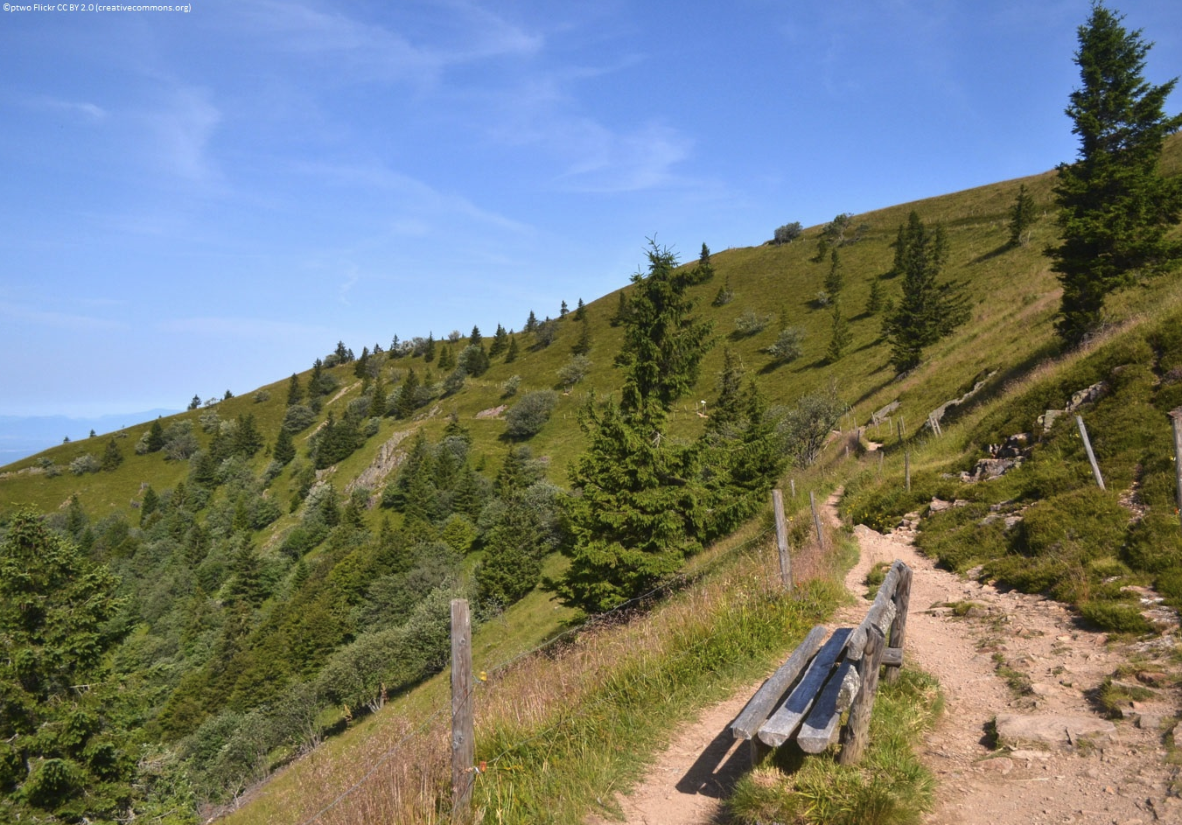 Auf abenteuerlichen Wegen hoch zum Belchen