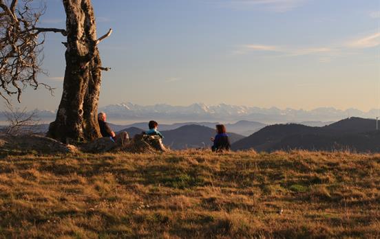 Panoramablicke bis zu den Alpen