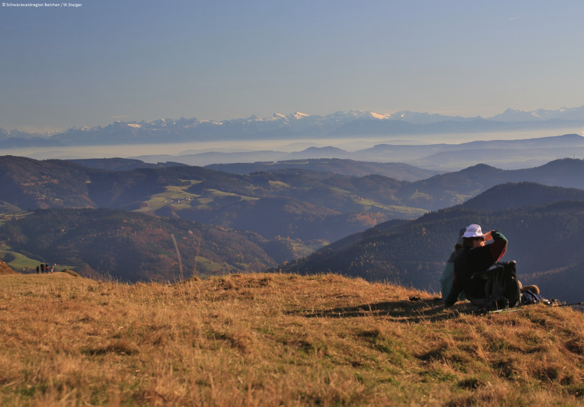 Fernblicke bis zu den Alpen auf dem Westweg