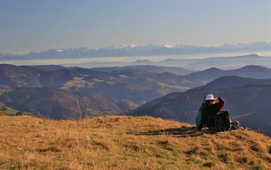 Fernblicke bis zu den Alpen auf dem Westweg