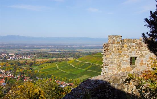 Burg Baden mit Blick zum Römerberg
