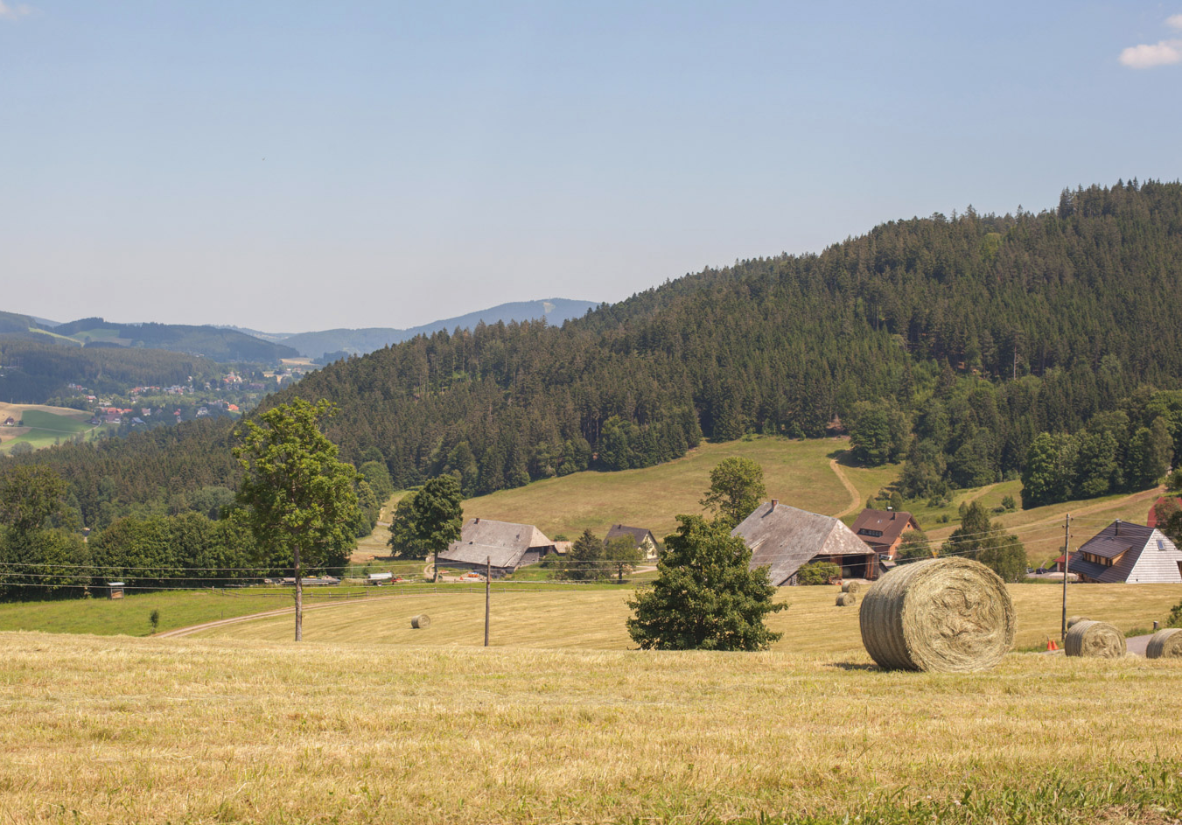 Schwarzwaldhöfe ©Hochschwarzwald Tourismus